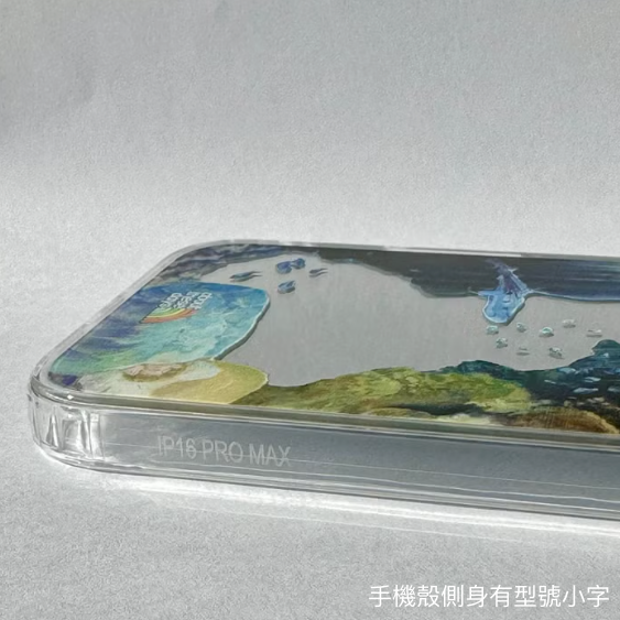 【CUSTOM iPhone mirror case | 訂製 iPhone鏡面手機殼】Storm 帆船