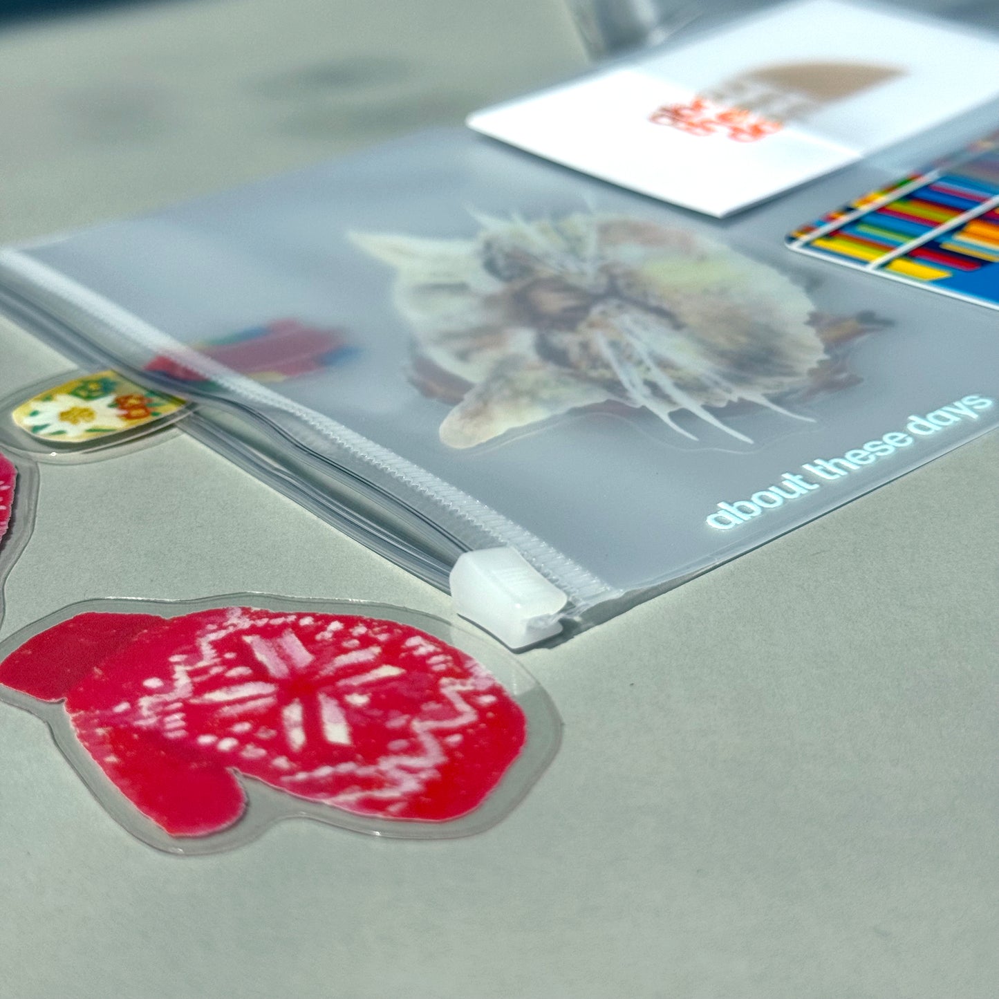 【Nomadic notebook | 遊牧筆記本】Clear filer