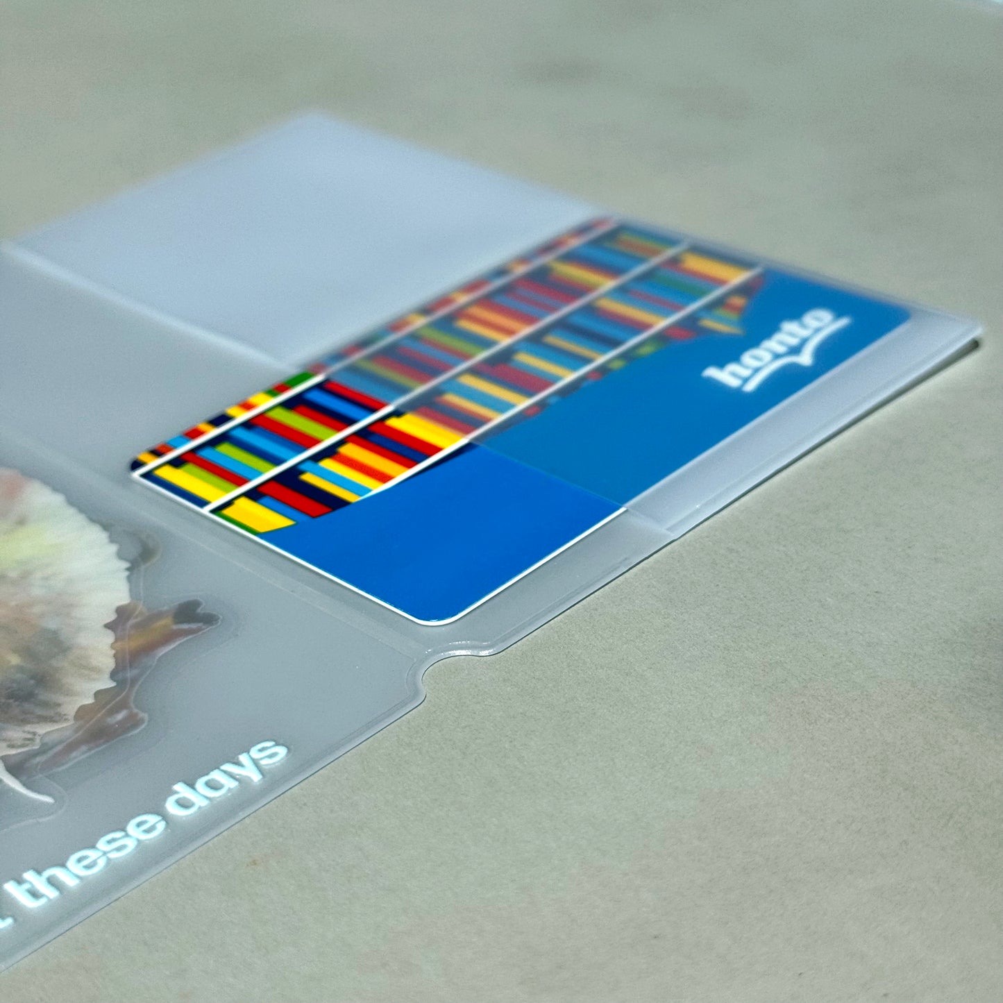 【Nomadic notebook | 遊牧筆記本】Clear filer