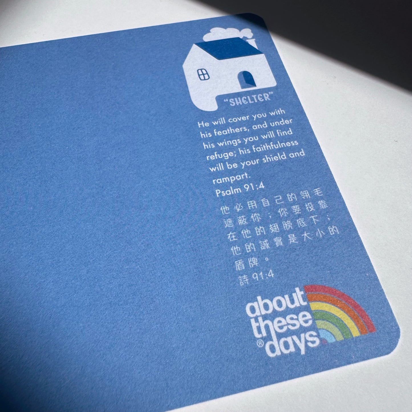【Postcard | 明信片】Shelter 避難所