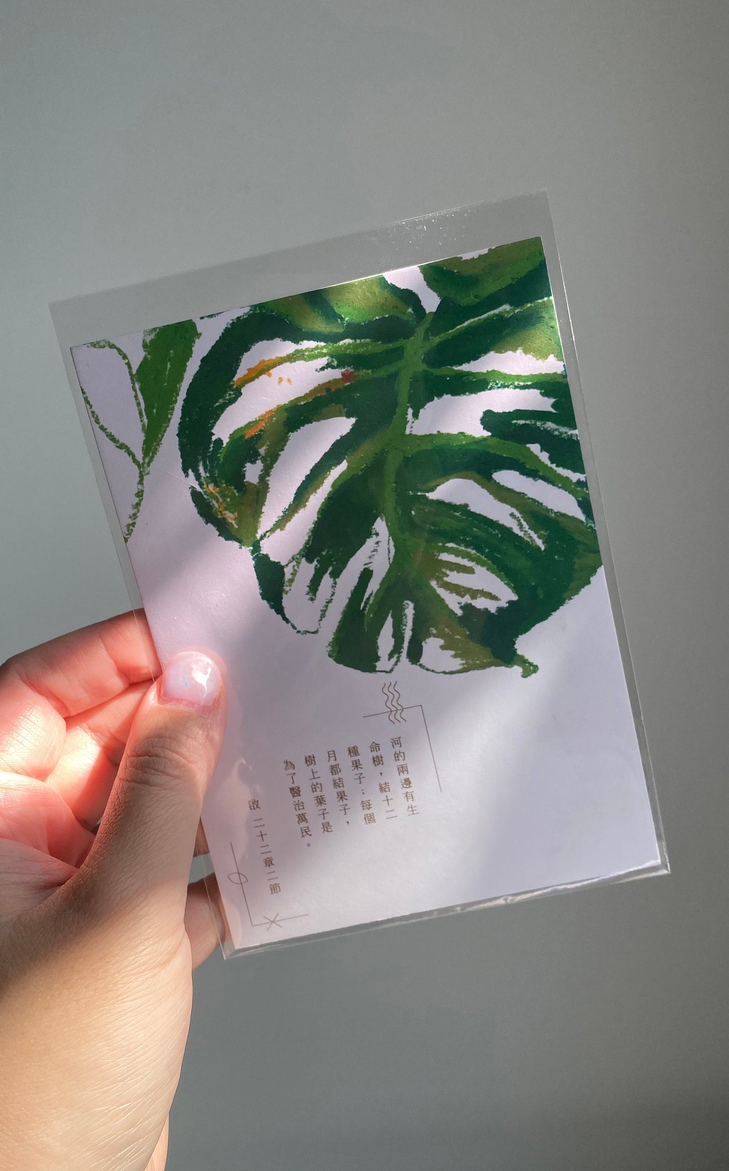 【Postcard | 明信片】Healing leaves 醫治的葉子