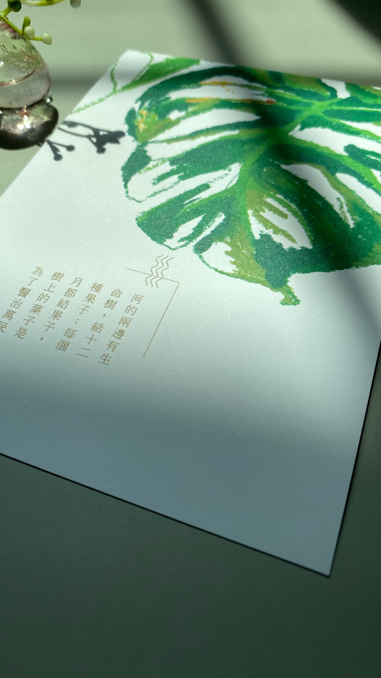 【Postcard | 明信片】Healing leaves 醫治的葉子