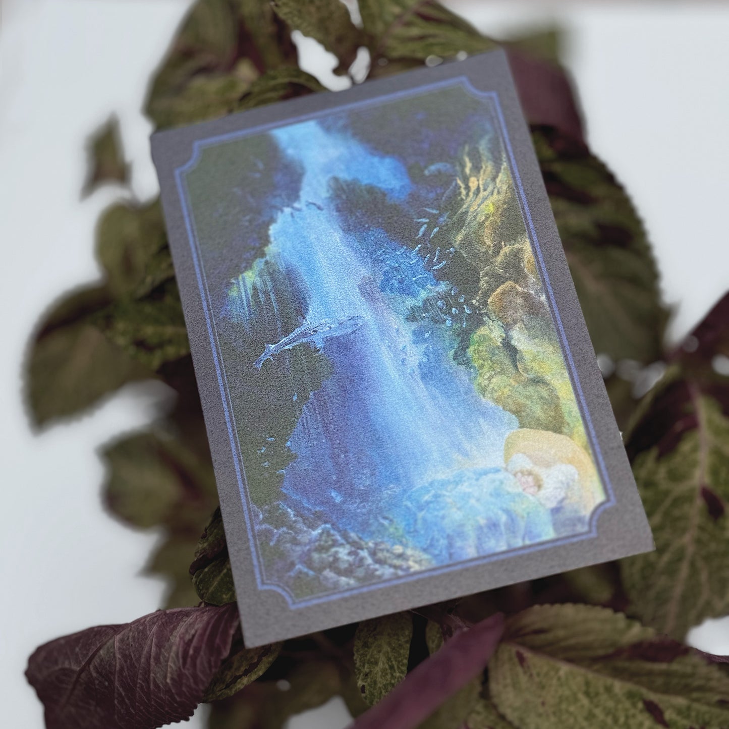 【Postcard | 明信片】In the depths 深海