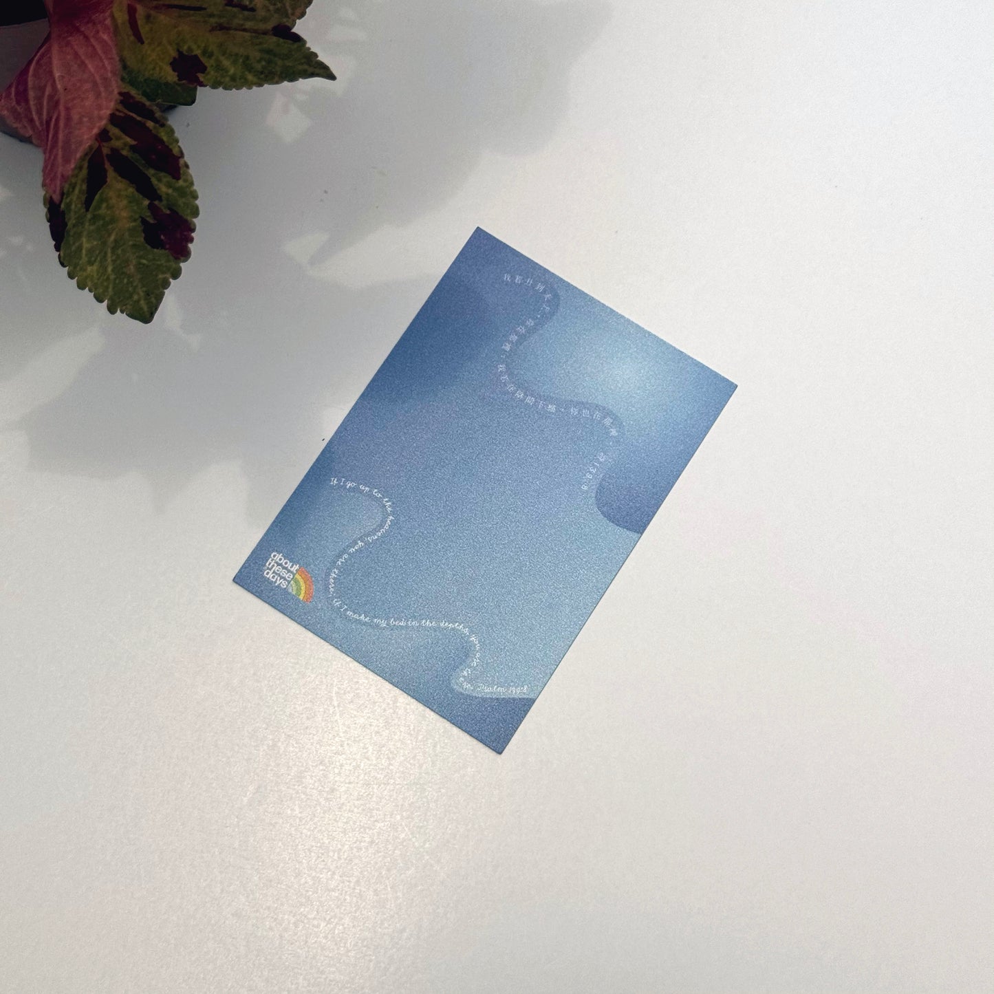 【Postcard | 明信片】In the depths 深海