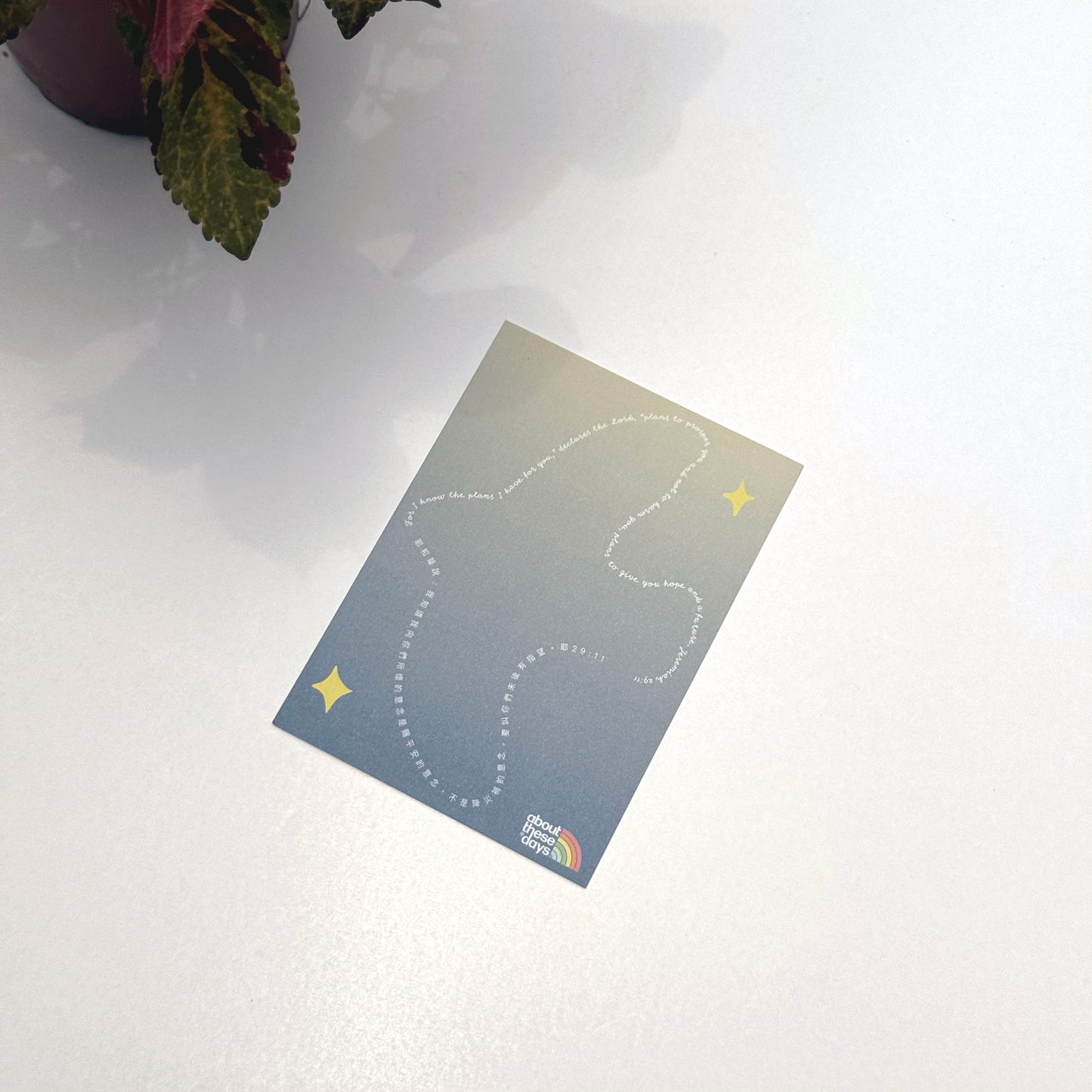 【Postcard | 明信片】Planned 美好計劃